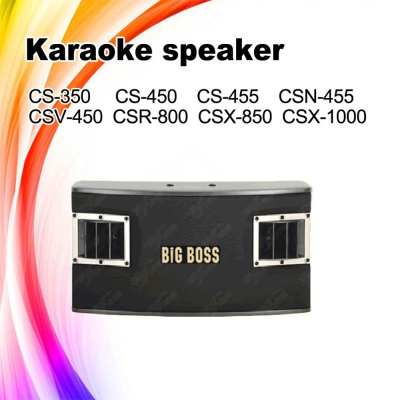 CSV-450 10インチプロカラオケスピーカー/2ウェイ低音スピーカー-専門家オーディオ、ビデオ、および照明問屋・仕入れ・卸・卸売り