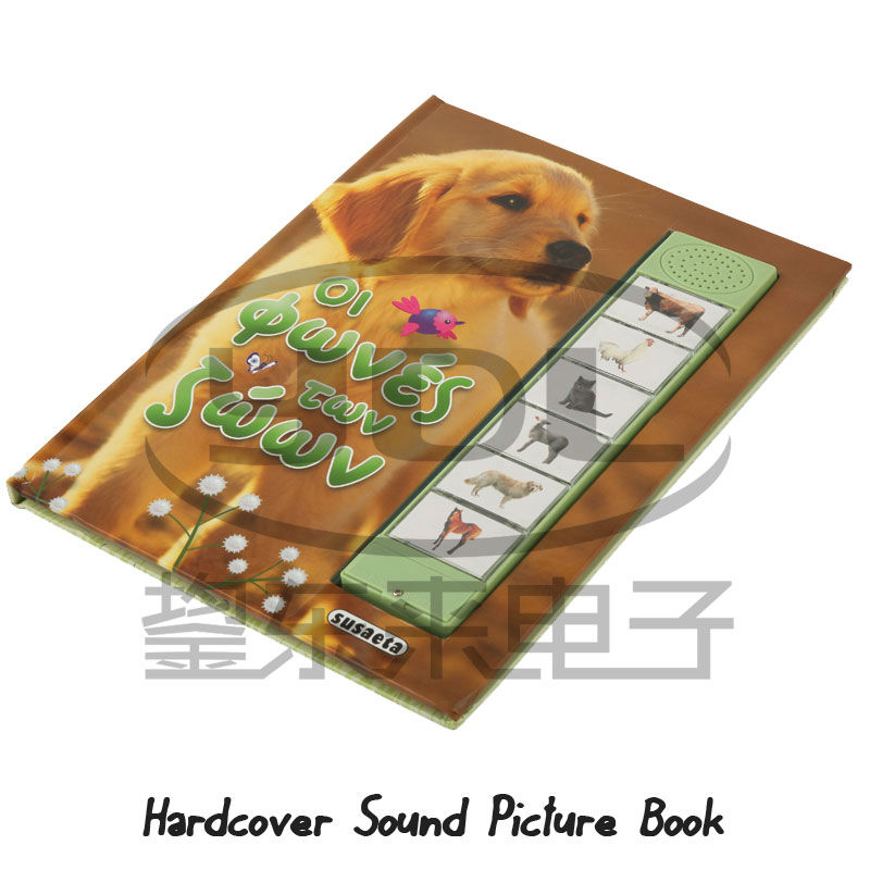 ストーリーが話していると面白い写真が付いているブック音-その他製造サービス問屋・仕入れ・卸・卸売り