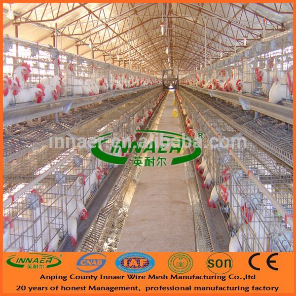 亜鉛めっき層鶏バタリーケージ( innaer工場供給)-ケージ問屋・仕入れ・卸・卸売り