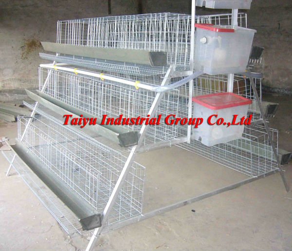 Taiyu- 5高いぞ知る家禽ケージ( ナイジェリア/ラゴスオフィス、 で鳥のための販売)-ケージ問屋・仕入れ・卸・卸売り