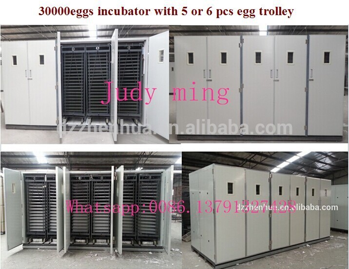 グレート品質鶏卵インキュベーターceが承認卵インキュベーター最高価格のインキュベーター33792卵-孵卵器問屋・仕入れ・卸・卸売り