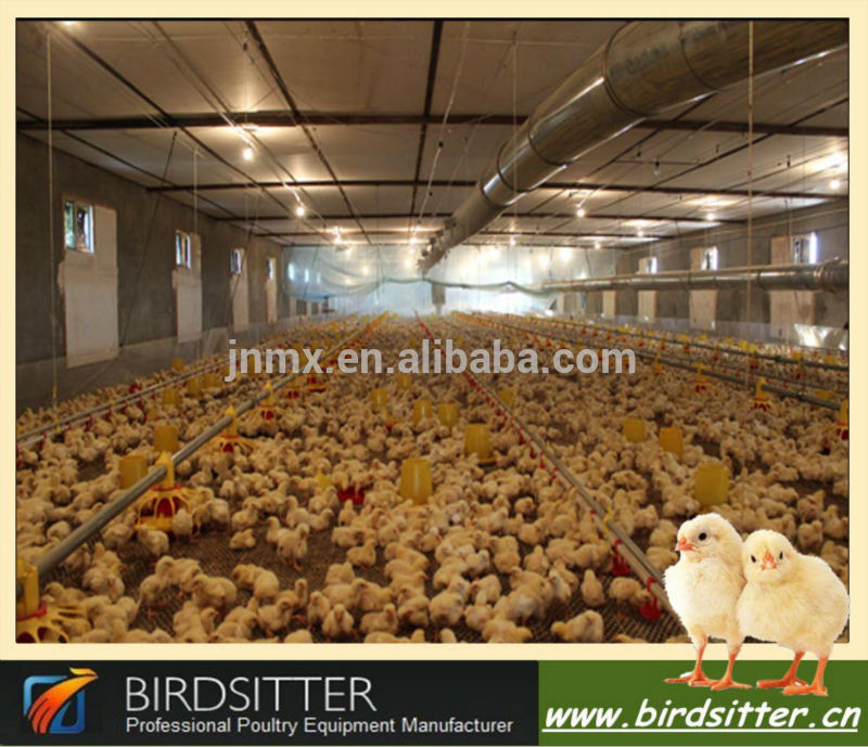 Birdsitterチキン家自動フィーダと給水器用鶏-供給の処理機械問屋・仕入れ・卸・卸売り