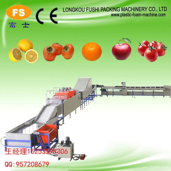 中国最高品質のce承認された果実とiso9001がけを洗うグレーディングマシン-フルーツ及び野菜処理機械問屋・仕入れ・卸・卸売り