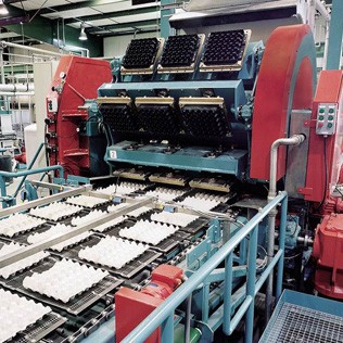 紙の卵トレイ製造機-包装ライン問屋・仕入れ・卸・卸売り