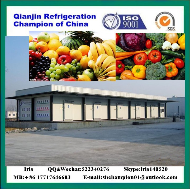 新鮮な果物や野菜の大きな冷たい店舗-冷凍室問屋・仕入れ・卸・卸売り