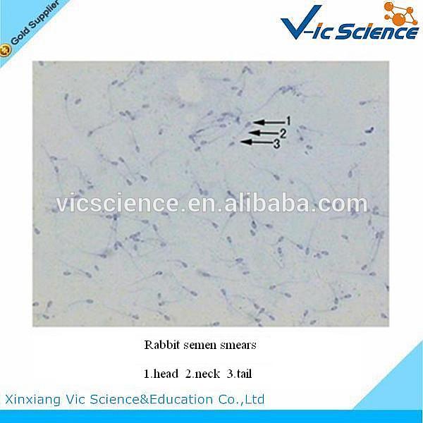 高品質の学生顕微鏡生物の塗抹ウサギの精液-その他測定器・分析器問屋・仕入れ・卸・卸売り
