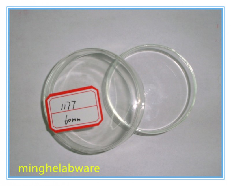 高品質のガラス/ペトリディッシュ/プラスチックペトリ皿の細胞培養プレート-ペトリ皿問屋・仕入れ・卸・卸売り