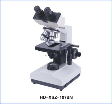 Led双眼生物顕微鏡-顕微鏡問屋・仕入れ・卸・卸売り