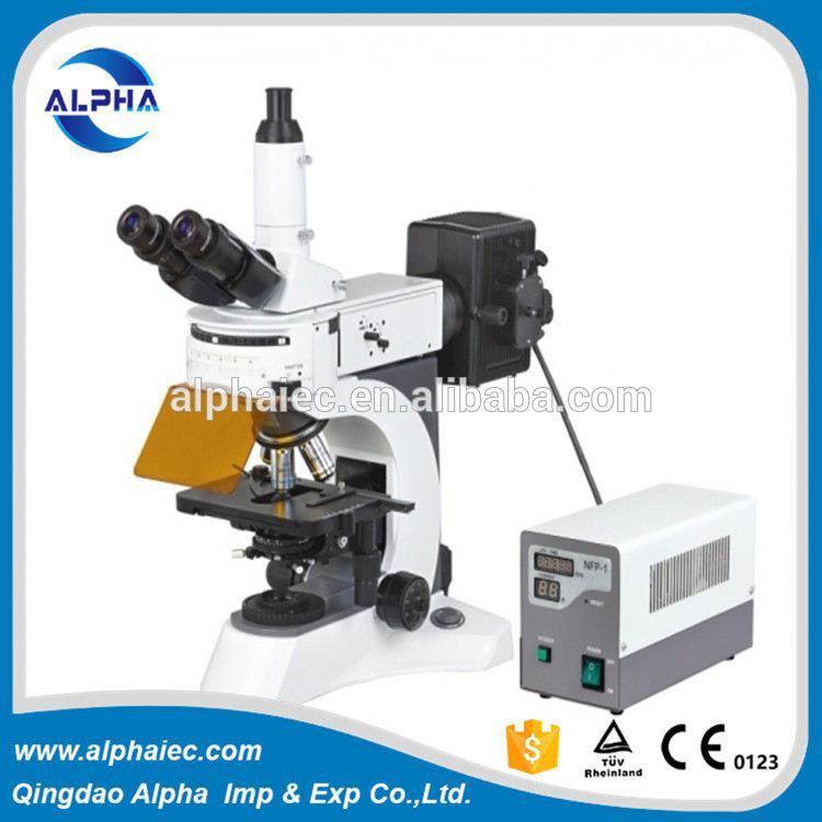 研究所生物顕微鏡、蛍光顕微鏡N-800F-顕微鏡問屋・仕入れ・卸・卸売り