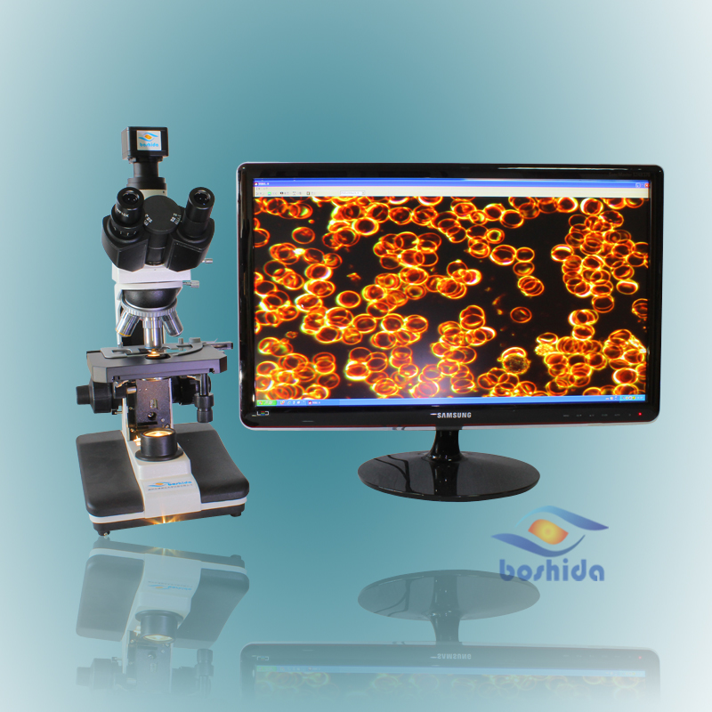 BD-SW3001生物顕微鏡用医療、教育と科学研究-顕微鏡問屋・仕入れ・卸・卸売り