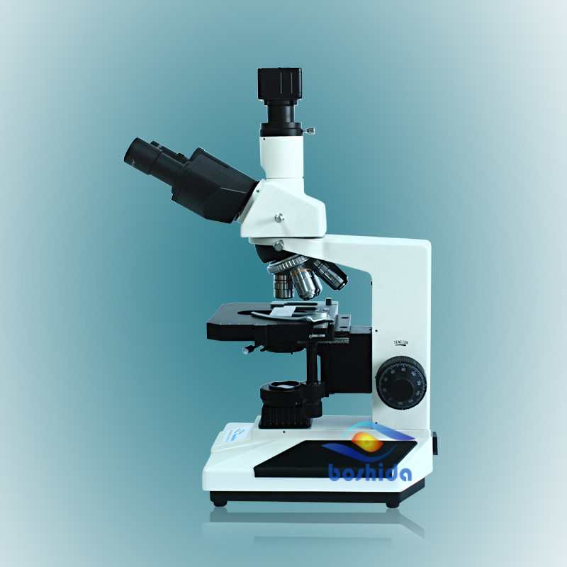 供給BD-L2000A生物顕微鏡用医療、教育と科学研究-顕微鏡問屋・仕入れ・卸・卸売り