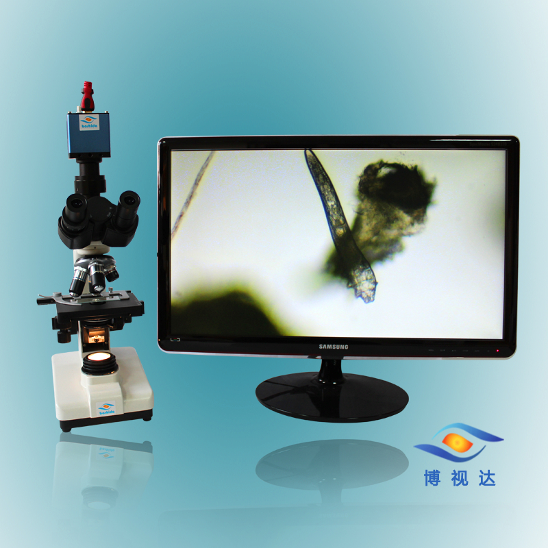 供給BD-SW2001電子生物顕微鏡でledライト調節可能-顕微鏡問屋・仕入れ・卸・卸売り