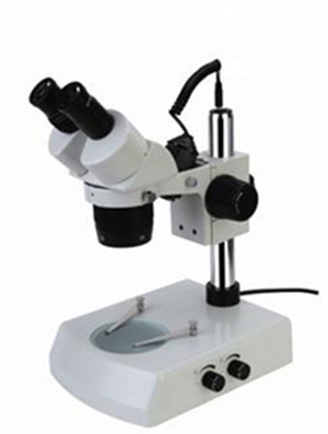 ZX-6024高品質双眼鏡二つのスイッチのズーム実体顕微鏡-顕微鏡問屋・仕入れ・卸・卸売り