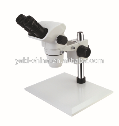 大規模なステージのための電子顕微鏡観察-顕微鏡問屋・仕入れ・卸・卸売り
