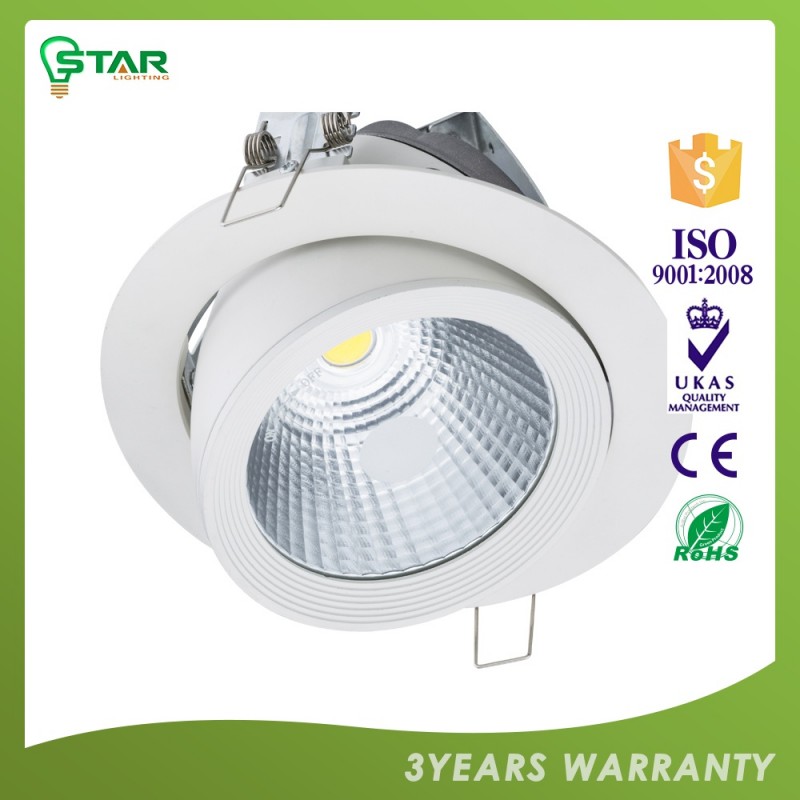10w/15w/20w/30wce・rohsは承認したジンバルledダウンライト-LED Downlights問屋・仕入れ・卸・卸売り