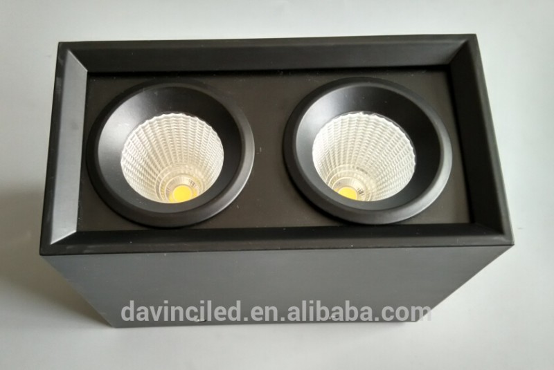 スクエア表面実装ダウンライト2*10ワット-LED Downlights問屋・仕入れ・卸・卸売り