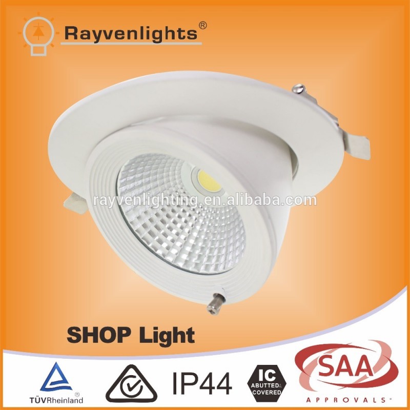 ショップライト30ワット調光可能なトランクシーリングライトcobホワイトラウンドled shoplight-LED Downlights問屋・仕入れ・卸・卸売り