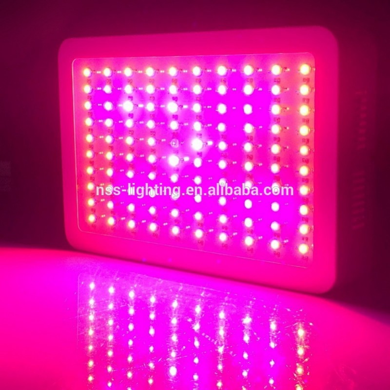最高の性能強い強度300ワットフルスペクトラムを育てるライト用植物咲く実ら-LEDはライトを育てる問屋・仕入れ・卸・卸売り