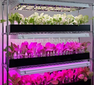 HL-G80A led ライト を育てる ため の植物-問屋・仕入れ・卸・卸売り