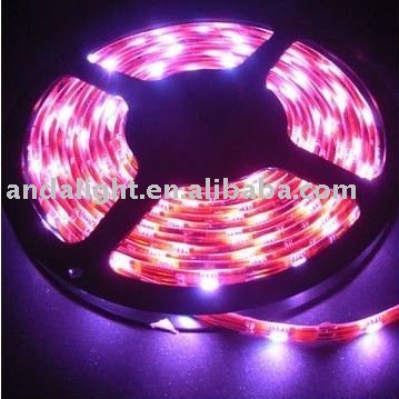 熱い販売ledロープライト-LEDはライトをロープをかける問屋・仕入れ・卸・卸売り