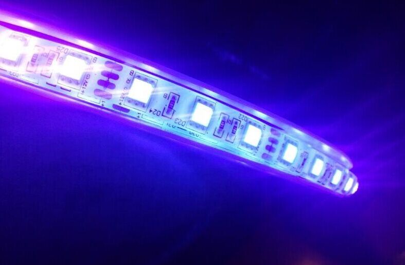 Led uvストリップ高ルーメン5050 smd uv 365nmの紫カラーライト5メートル/リールledストリップライトip65防水12ボルト-問屋・仕入れ・卸・卸売り