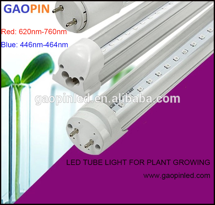農業適用t8/t5管ランプアイテムブルー/レッドled植物成長ライト用温室-プールはつく問屋・仕入れ・卸・卸売り