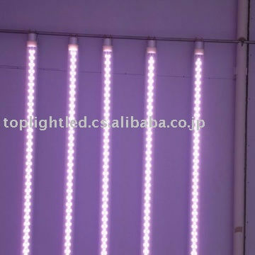 ピンク色T8LED20W型蛍光灯 食品照射用最適-新しいライト問屋・仕入れ・卸・卸売り