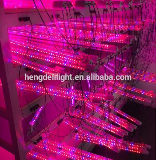 2016熱い販売t5ハイパワーled成長ライト製中国新しい革新的な製品800ワットled成長ライト-プールはつく問屋・仕入れ・卸・卸売り