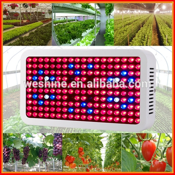 Rohs指令、 ce、 fcc、 pse3年間の保証青/red植物は光成長導いた、 900w1000wのライトを育てる導か-プールはつく問屋・仕入れ・卸・卸売り