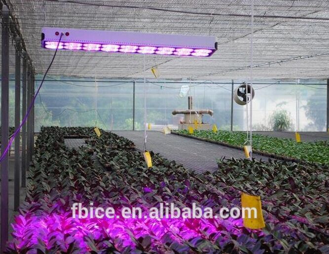 324 ワット温室led植物成長ライト革新的な ブルー dc アクアポニックス led成長ライト-プールはつく問屋・仕入れ・卸・卸売り