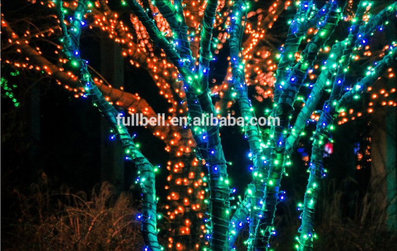 Fullbell 2015人気のスタイルホーム装飾ライト-LEDの軽いひも問屋・仕入れ・卸・卸売り
