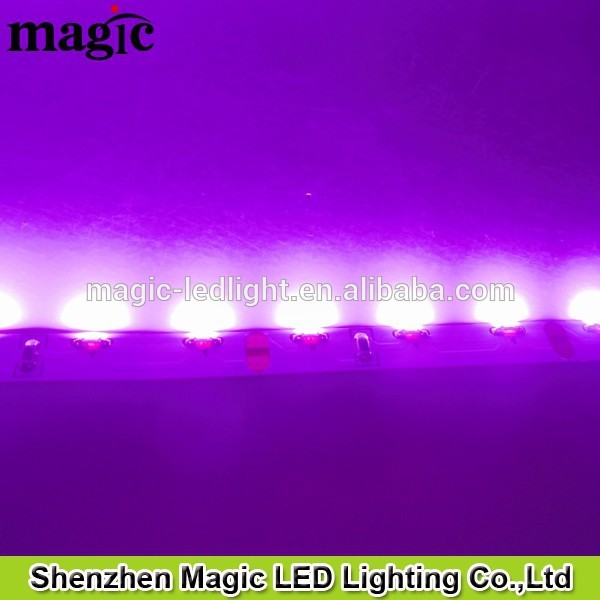 サイドビューピンク12v60leds/msmd335335ledストリップ-LEDの滑走路端燈問屋・仕入れ・卸・卸売り