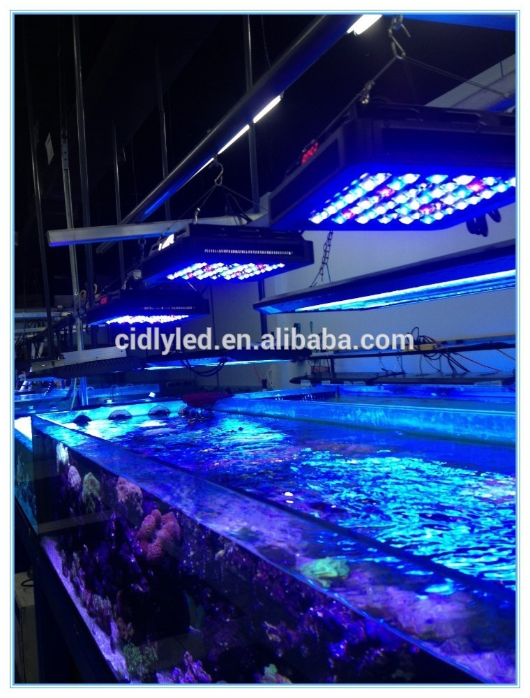 のためのledアクアリウムライト120wライブ熱帯魚の塩水/水槽はライトを導いた-LEDのアクアリウムはつく問屋・仕入れ・卸・卸売り
