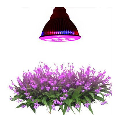 庭の温室e2712w植物は光成長導いたledの植物は光成長のための-LEDはライトを育てる問屋・仕入れ・卸・卸売り