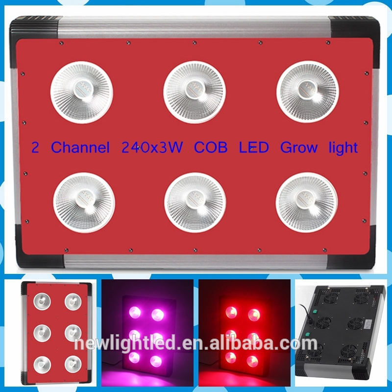 3年保証2 チャンネル エピスター cob 500 ワット led成長ライト 240 ピース の 3 ワット チップ-問屋・仕入れ・卸・卸売り