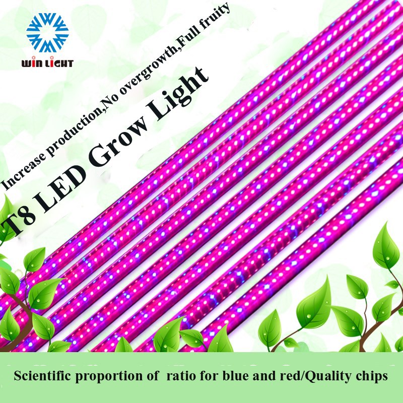 アリババチャイナ201560センチメートル120センチメートル150センチメートルg13t8果物用の植物が成長するledライト-LEDはライトを育てる問屋・仕入れ・卸・卸売り