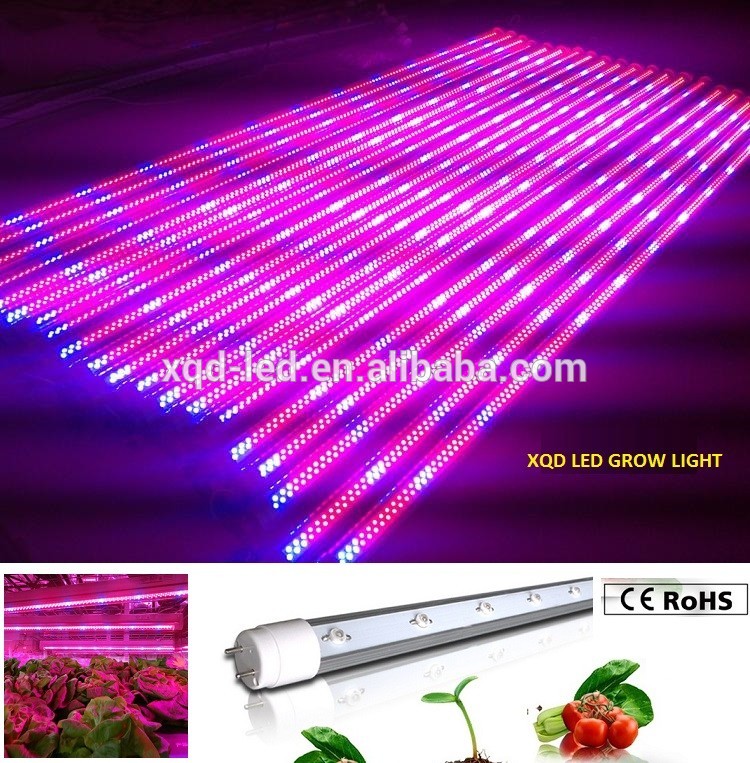 フルスペクトラム果物と野菜の成長照明4ft 1200ミリメートル18ワットt8 ledチューブを育てるライト温室水耕栽培-LEDはライトを育てる問屋・仕入れ・卸・卸売り