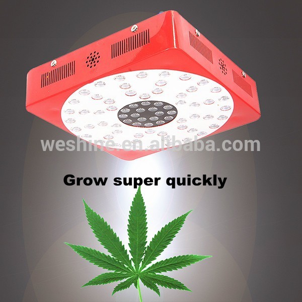 照明器具の天井-LEDはライトを育てる問屋・仕入れ・卸・卸売り