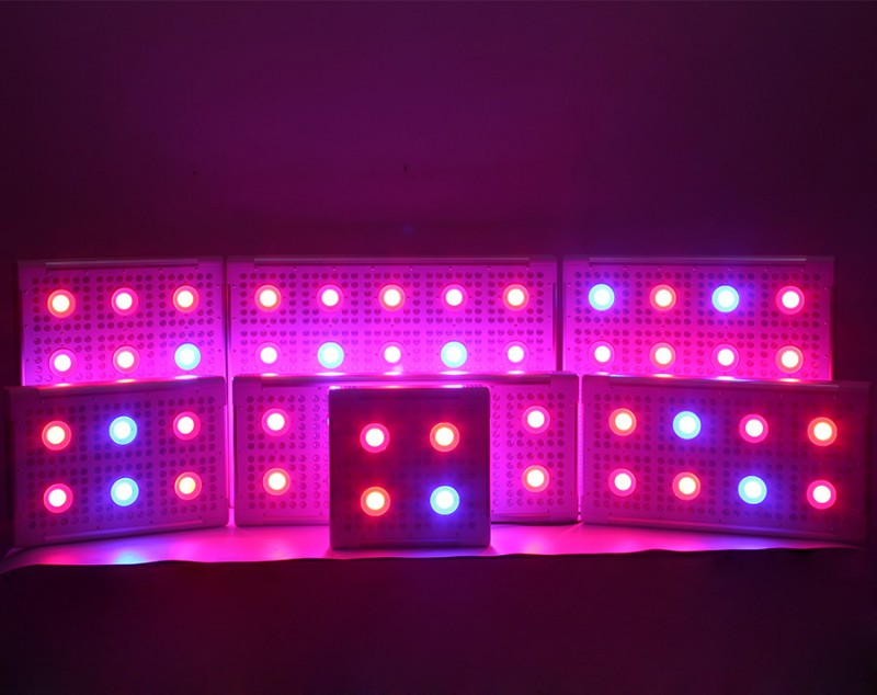 ベストセラーled成長ライトヨーロッパeshineシステム高額面学名の豆フルスペクトラムled成長ライト-LEDはライトを育てる問屋・仕入れ・卸・卸売り
