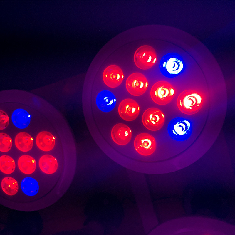 ベストセラー2015 bysen led成長ライト屋内住宅野菜使用12ワットrgb 3バンドe27フルスペクトラム水耕はライト電球-LEDはライトを育てる問屋・仕入れ・卸・卸売り