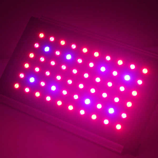 灯台ハイドロブラックスターはライト、5ワットepistarチップ120ワット135ワットufoはled成長ライト用ハーブ-LEDはライトを育てる問屋・仕入れ・卸・卸売り