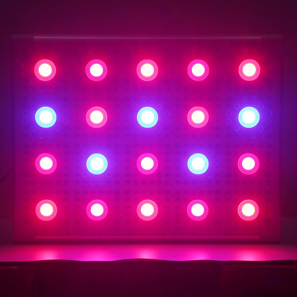 中国ledパネルBP900空中栽培を育てるキット王明るいledフルカラー2000ワットled成長ライト用農業温室-LEDはライトを育てる問屋・仕入れ・卸・卸売り