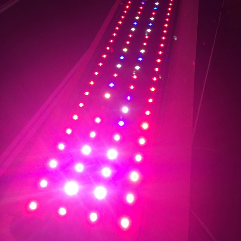 深センledパネルランプ調光対応制御日の出日没シミュレーションled成長ライト用2フィートのx 4フィートグローテント-LEDはライトを育てる問屋・仕入れ・卸・卸売り