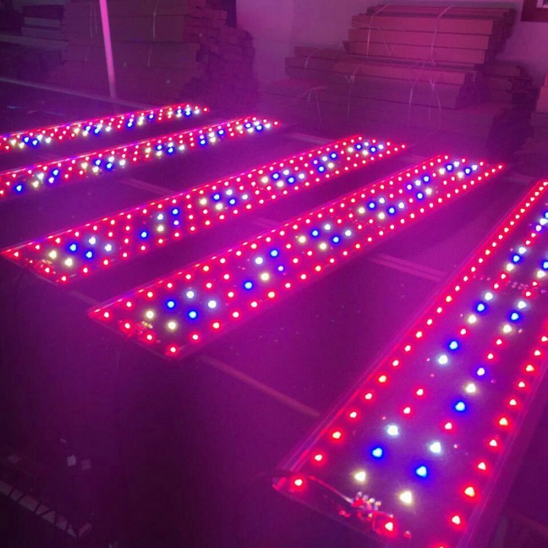 プロフェッショナル水耕システムsp500調光対応led電球製造プラント224ワットを育てる主導パネル使用温室フレーム用販売-LEDはライトを育てる問屋・仕入れ・卸・卸売り
