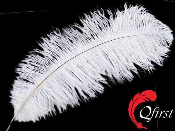 最高の販売の卸売安い羽衣漂白白いダチョウの羽ドラブ大-フェザー問屋・仕入れ・卸・卸売り