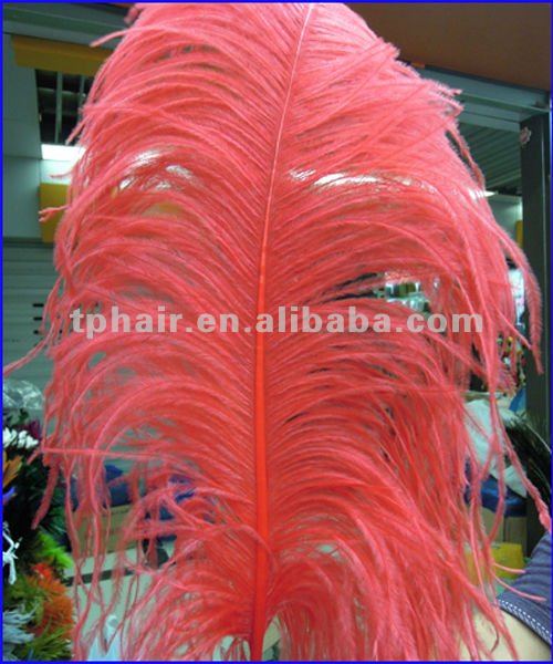 2011 Decoration&Hair延長のための実質のだちょうの羽-フェザー問屋・仕入れ・卸・卸売り