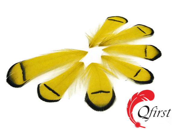 ユニークな装飾的なギンケイのキジの羽染めた黄色のティペットの羽-フェザー問屋・仕入れ・卸・卸売り