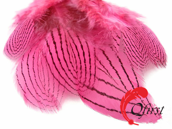 ベストセラーの羽衣ピンクシルバー卸売天然染めキジの羽-フェザー問屋・仕入れ・卸・卸売り