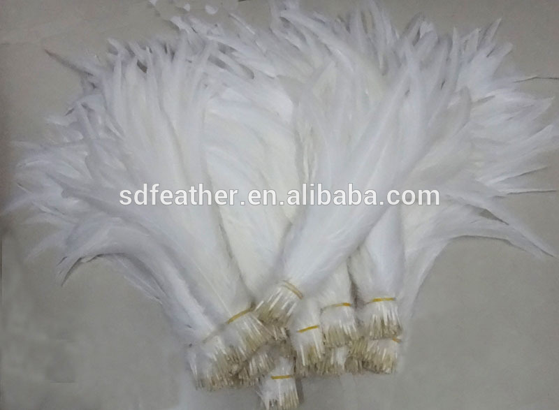 漂白さ れ た パターン と チキン羽材料白オンドリ の羽、自然ホワイト色漂白白、-問屋・仕入れ・卸・卸売り