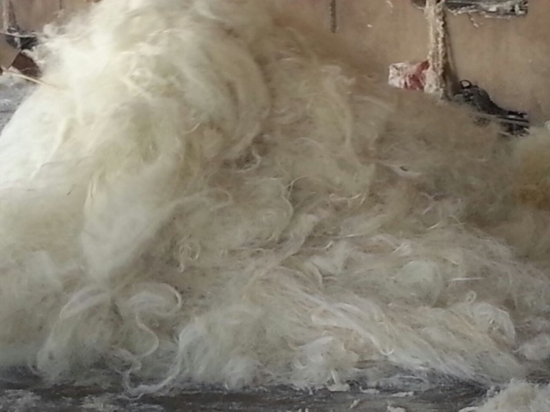 2015高品質naturnalサイザル繊維-その他繊維問屋・仕入れ・卸・卸売り